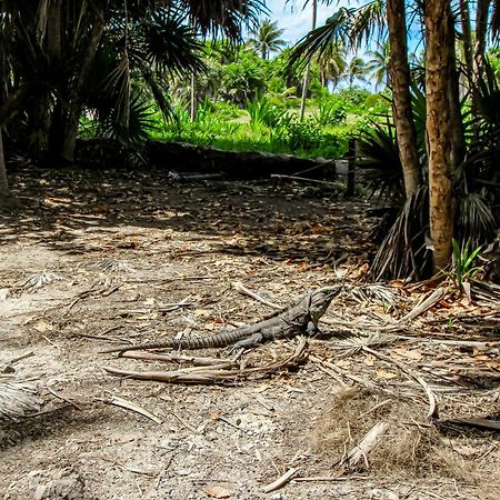 Miraluna 233 At Luum Zama Tulum Zewnętrze zdjęcie